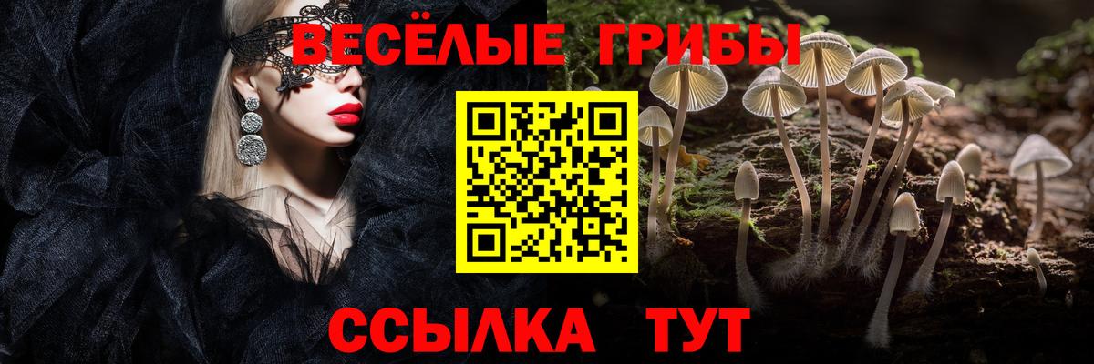 Галлюциногенные грибы прущие грибы Шуя