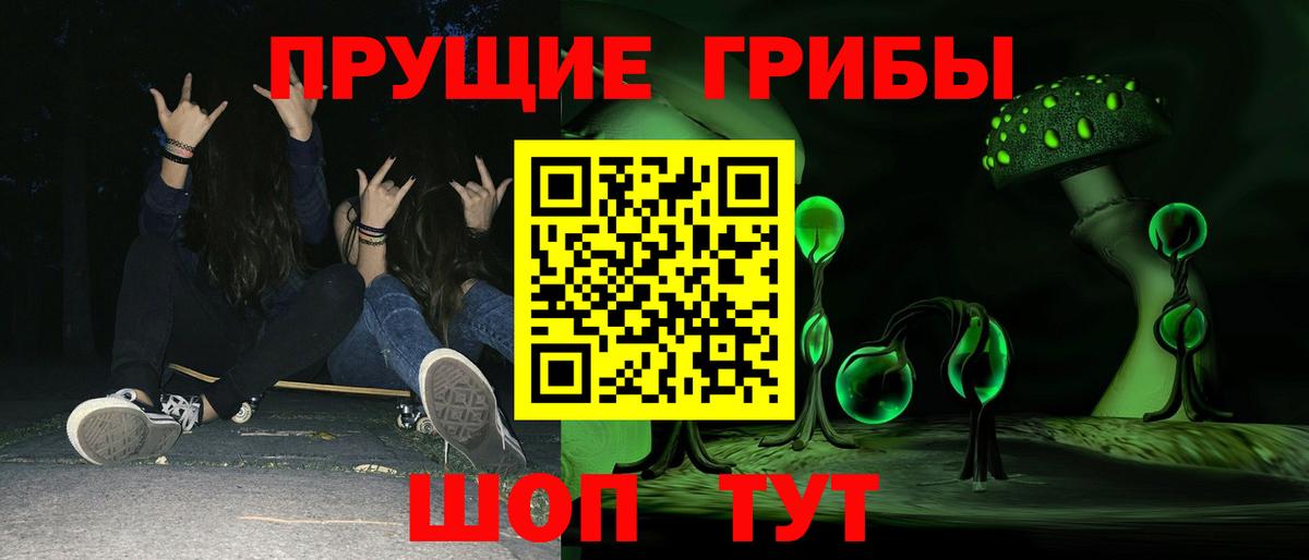 Шуя  Галлюциногенные грибы прущие грибы  Вход с VPN 